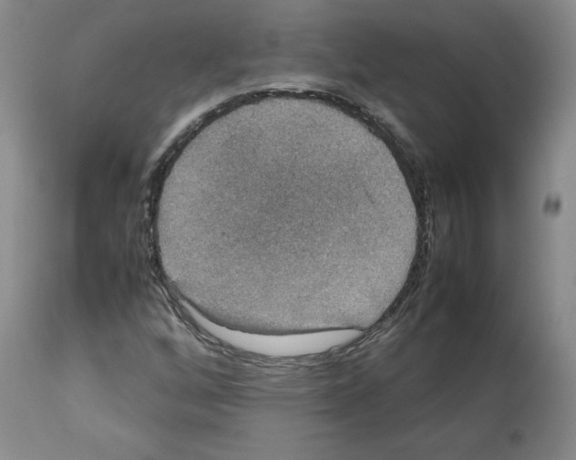 X0000112471256200909281037