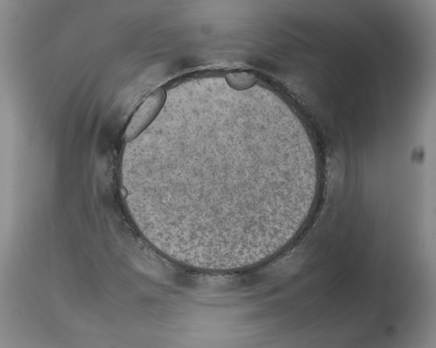 X0000112471257200909281037