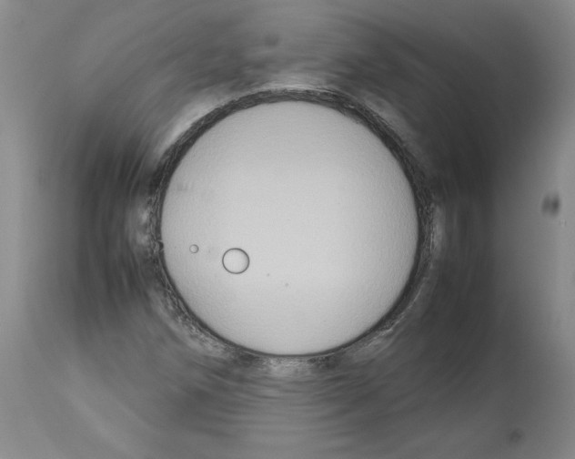 X0000112471258200909281037