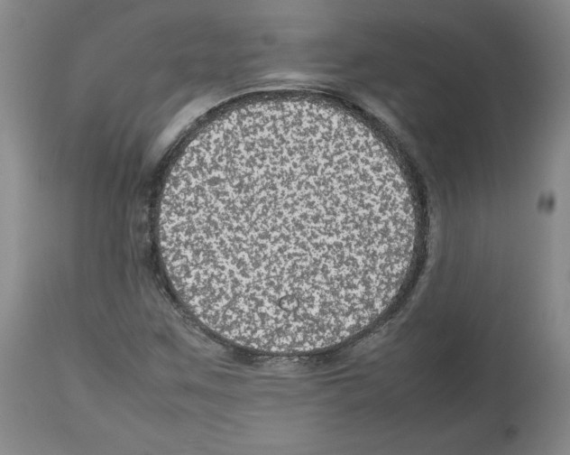 X0000112471259200909281037