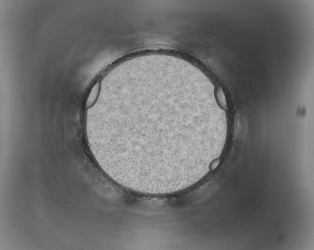 X0000112471261200909281037