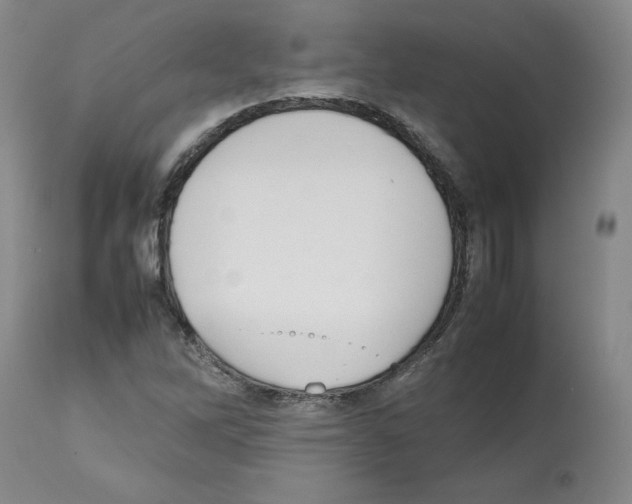 X0000112471262200909281037