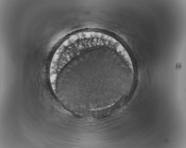 X0000112471263200909281037