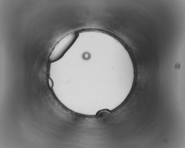 X0000112471264200909281037