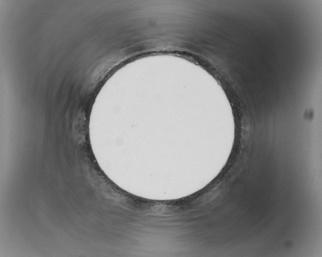 X0000112471265200909281037