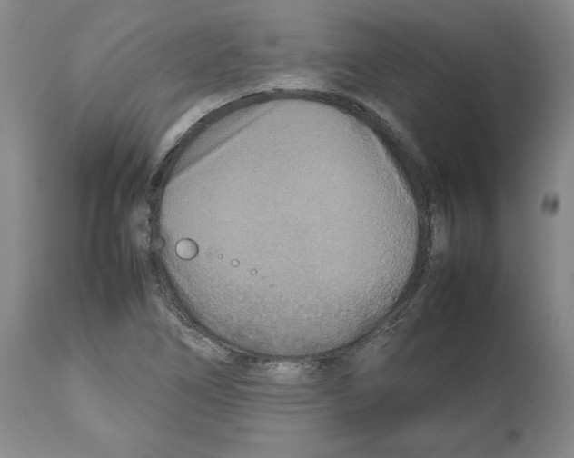 X0000112471266200909281037