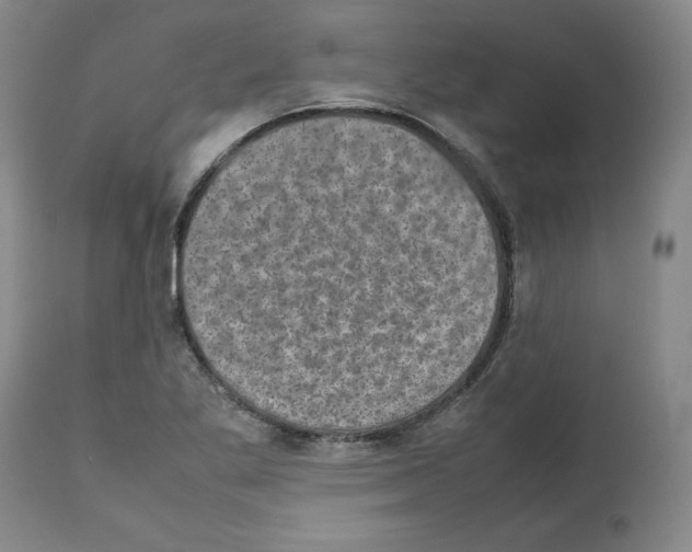 X0000112471269200909281037