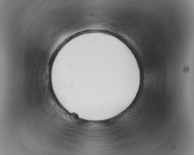 X0000112471270200909281037