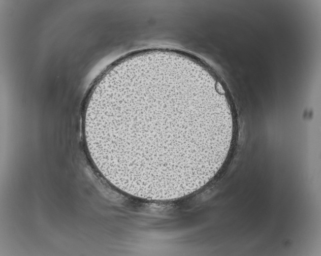 X0000112471271200909281037