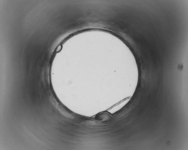 X0000112471272200909281037