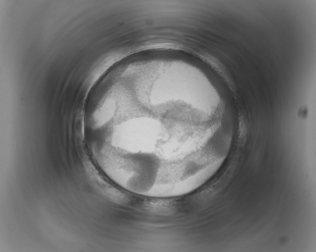 X0000112471274200909281037