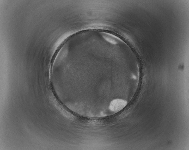 X0000112471275200909281037