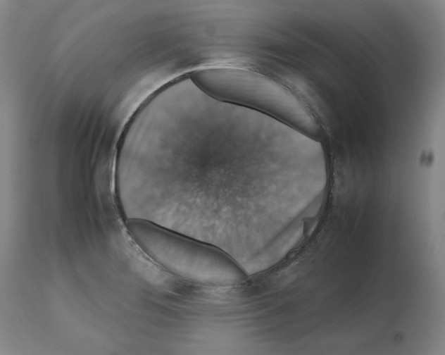 X0000112471276200909281037