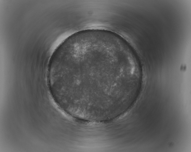 X0000112471277200909281037