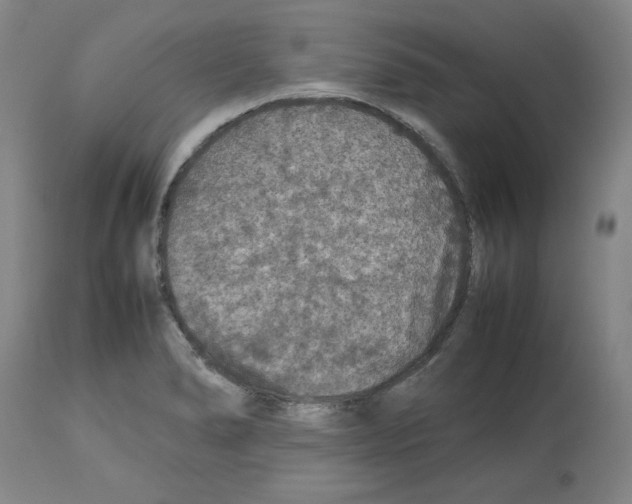 X0000112471278200909281037