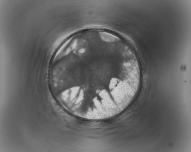 X0000112471279200909281037