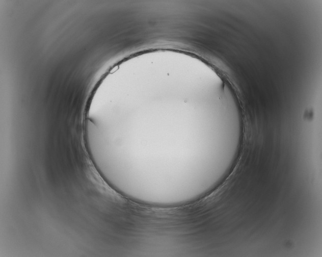X0000112471280200909281037