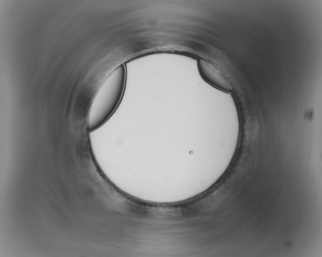X0000112471281200909281037