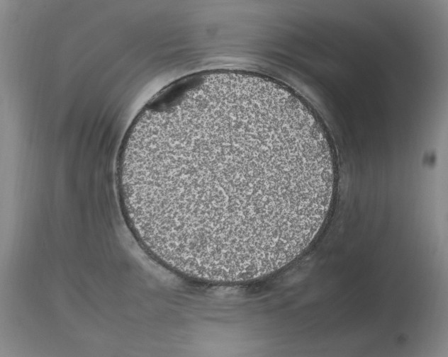 X0000112471283200909281037