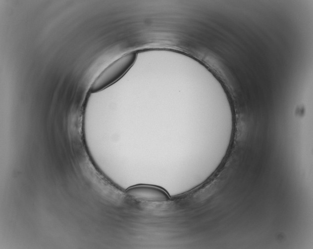 X0000112471284200909281036