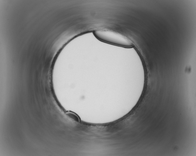 X0000112471285200909281036