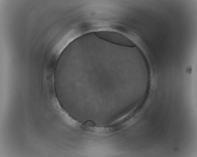 X0000112471289200909281036