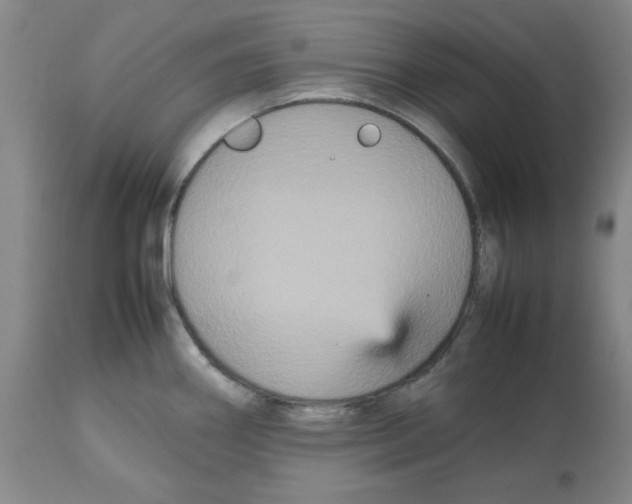 X0000112471290200909281036
