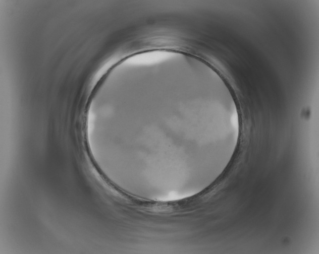 X0000112471291200909281036