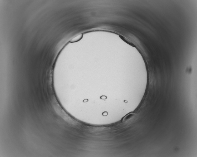 X0000112471292200909281036