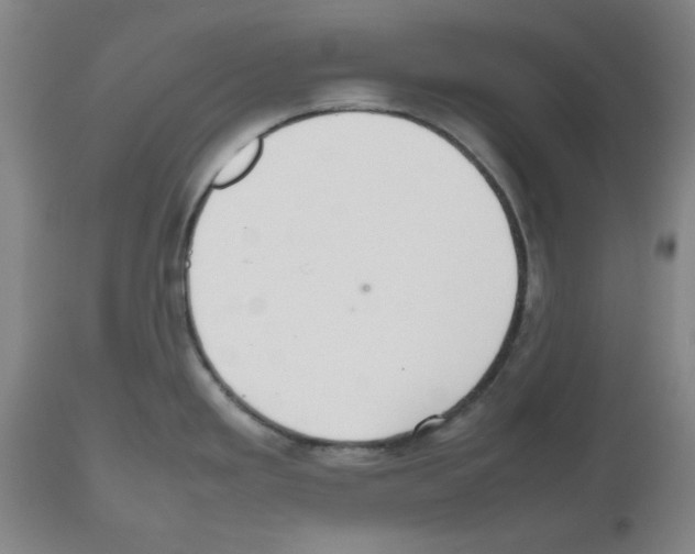 X0000112471293200909281036