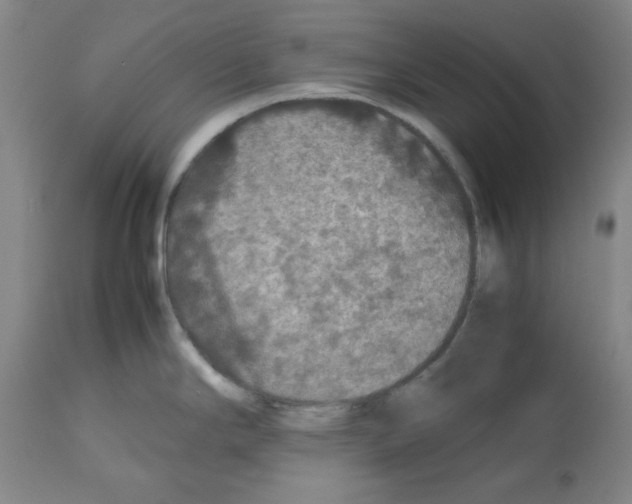 X0000112471294200909281036