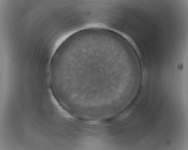 X0000112471295200909281036