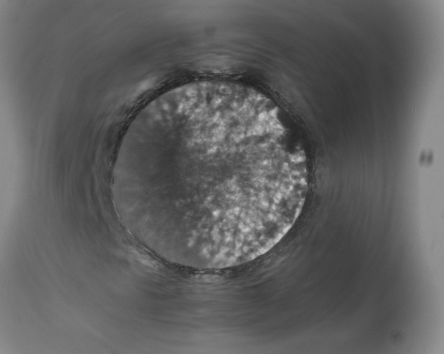 X0000112471297200909281036