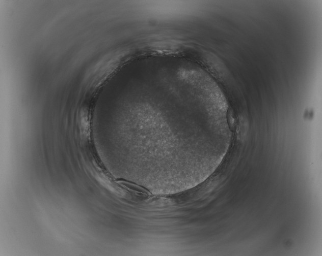 X0000112471298200909281036