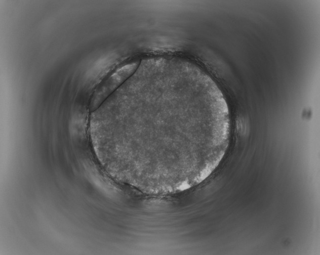 X0000112471300200909281036