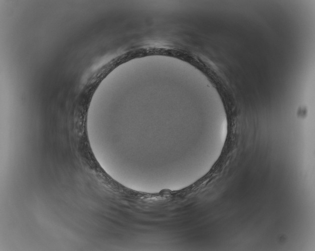X0000112471303200909281036