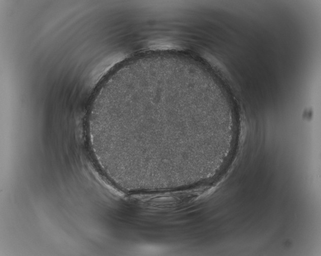 X0000112471305200909281036