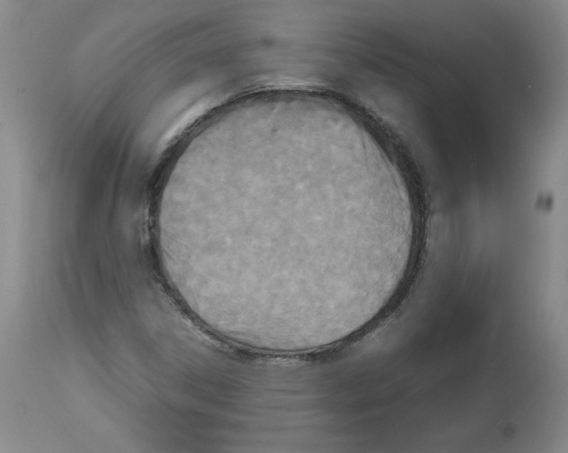 X0000112471306200909281036