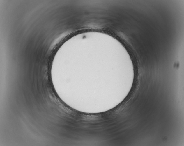 X0000112471307200909281036