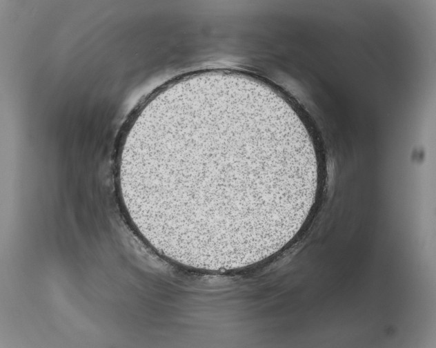 X0000112471308200909281036