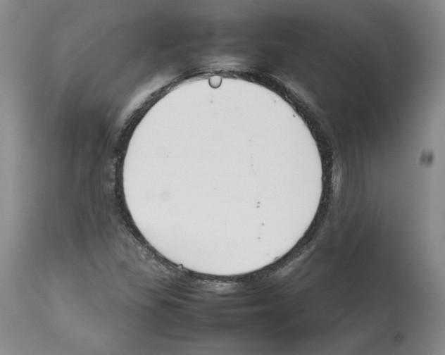 X0000112471309200909281036