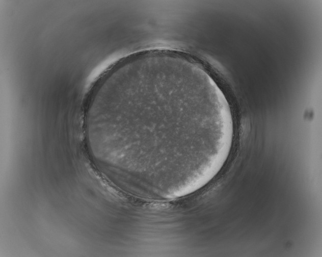 X0000112471310200909281036