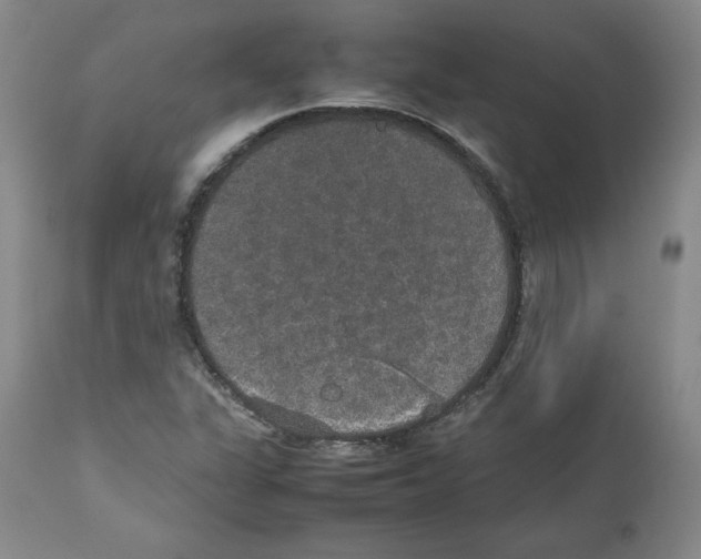 X0000112471311200909281036
