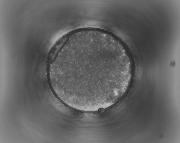 X0000112471312200909281036