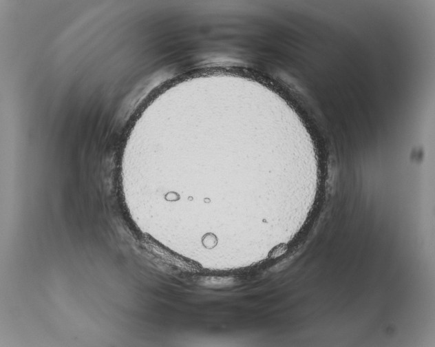X0000112471313200909281036
