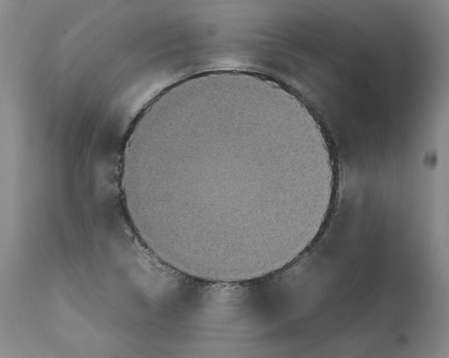 X0000112471314200909281036