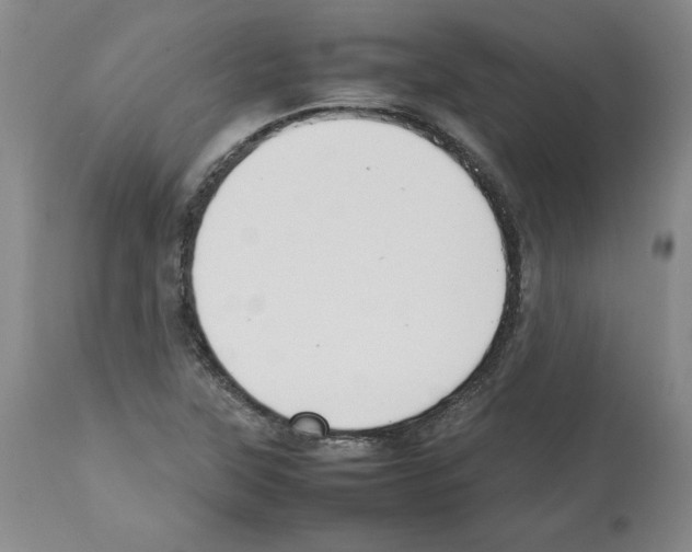 X0000112471315200909281036