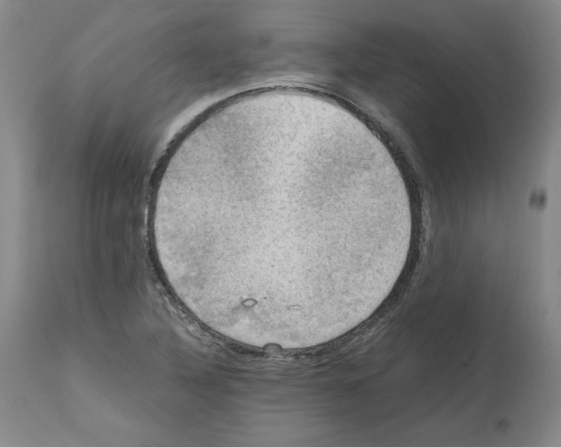 X0000112471316200909281036