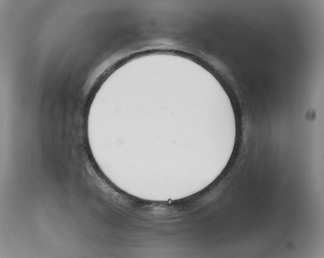 X0000112471318200909281036