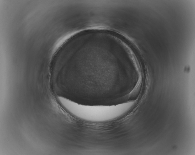 X0000112471319200909281036